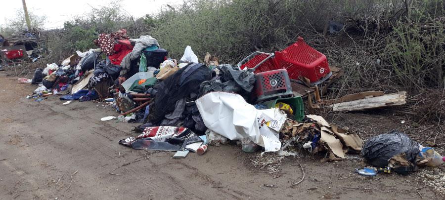 Junk hauling and trash removal from roadside in Modesto - Before photo for Gallery