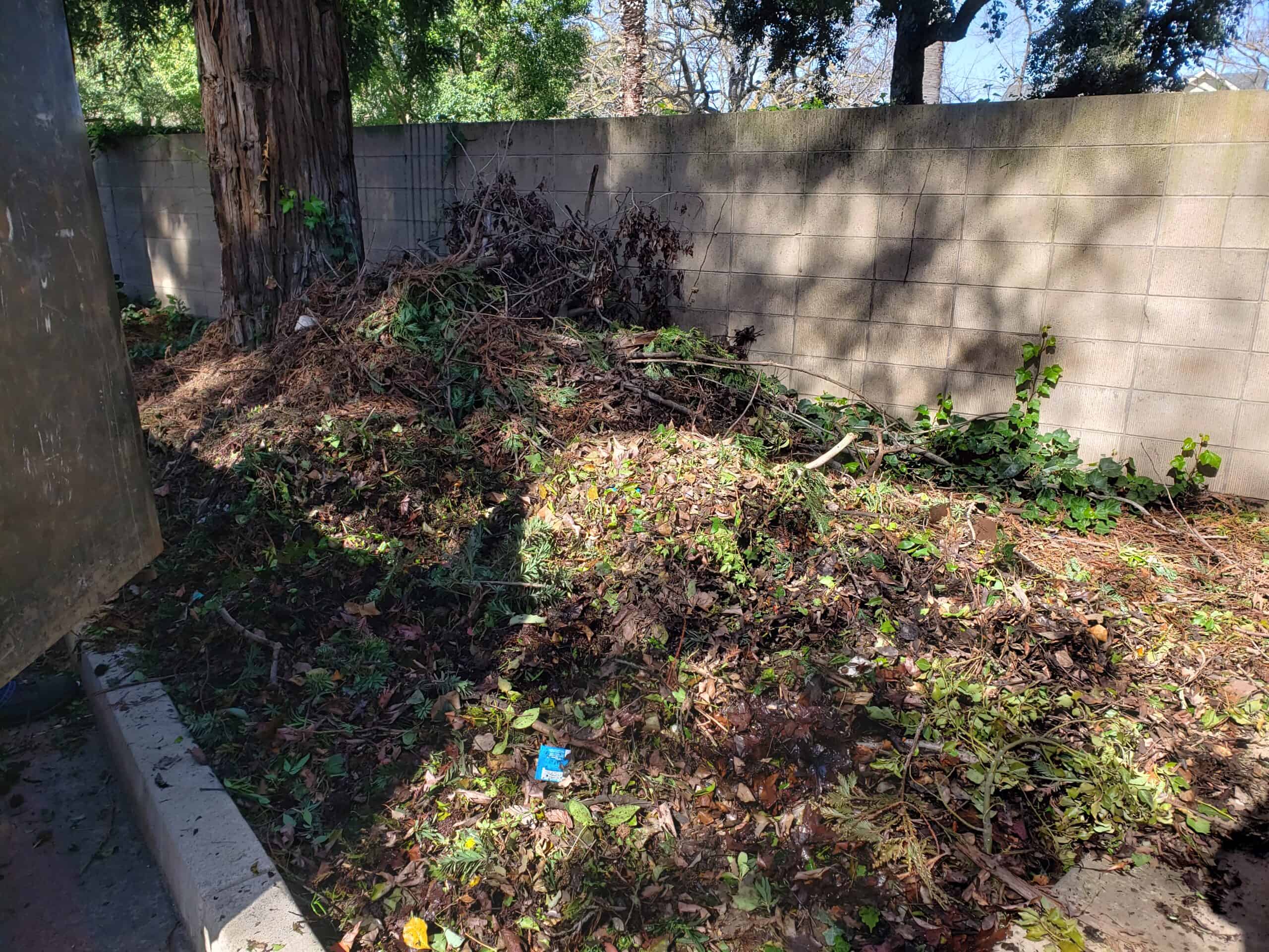 Yard Waste Removal
