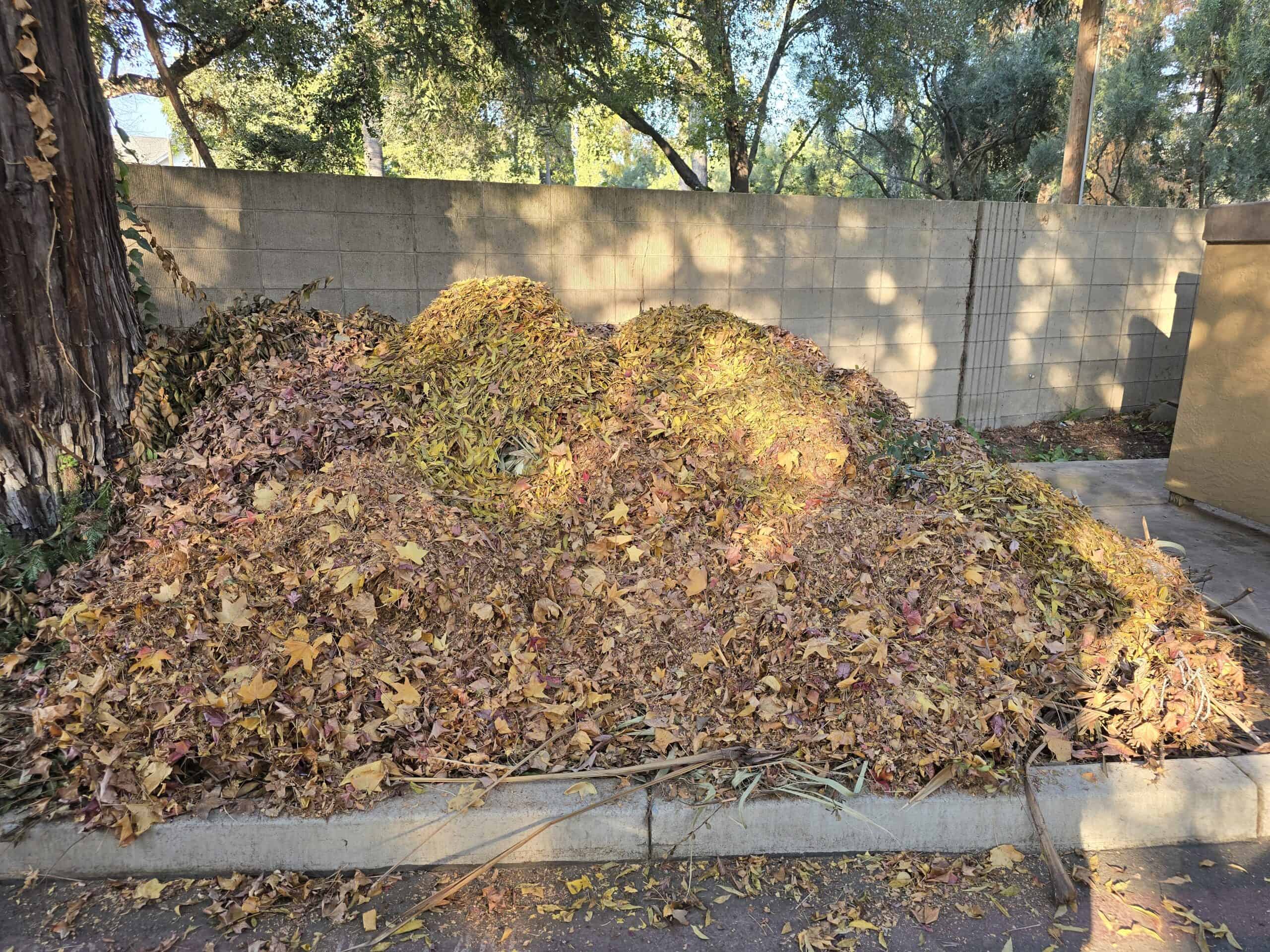 Yard Waste Removal