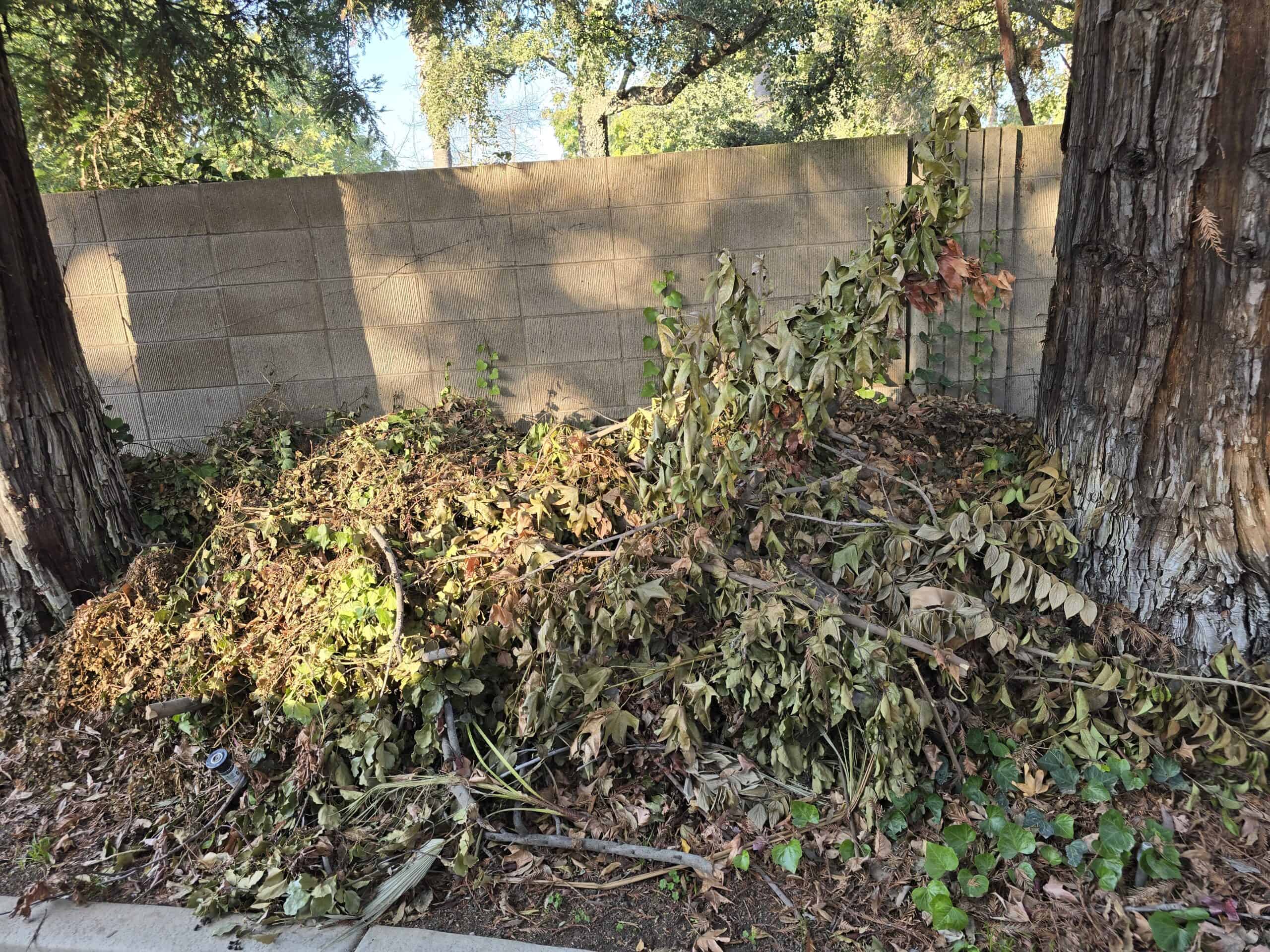 Yard Waste Removal